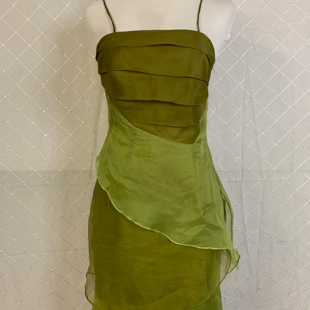 Women’s designer gown/dress